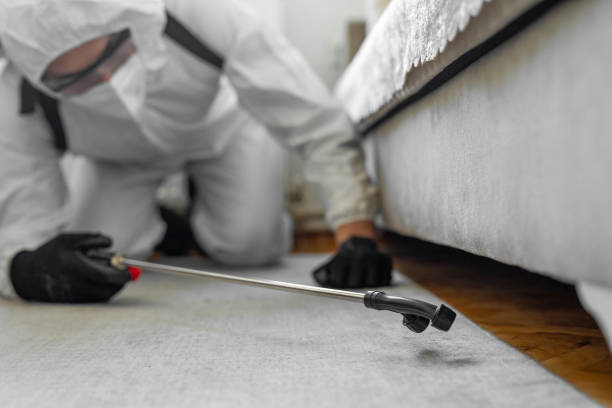Professional Bed Bug Control technician working in Pass Christian, MS