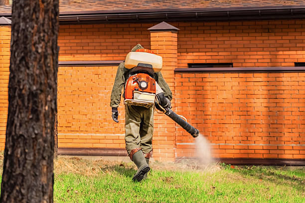 Trusted Bed Bug Control service in Pass Christian, MS - Nex Pest Control